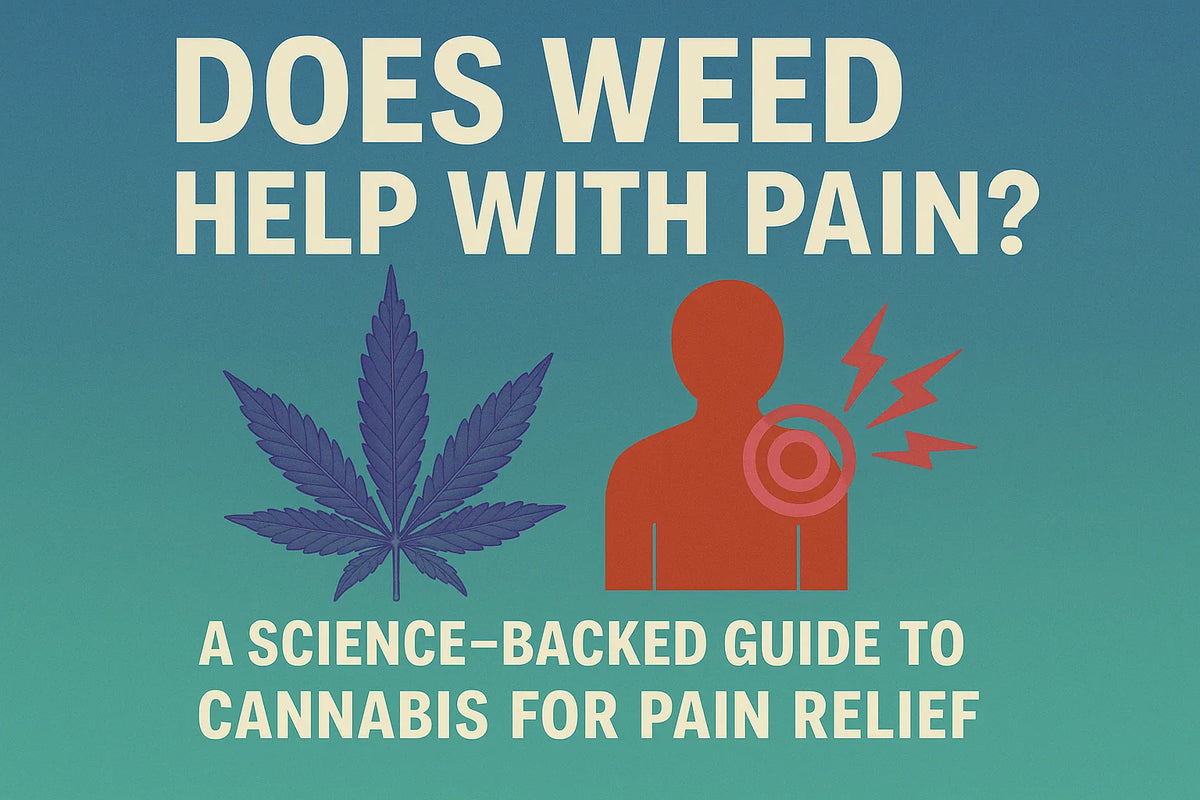 "medical cannabis for pain relief" "best weed strains for chronic pain" "THC vs CBD for pain"