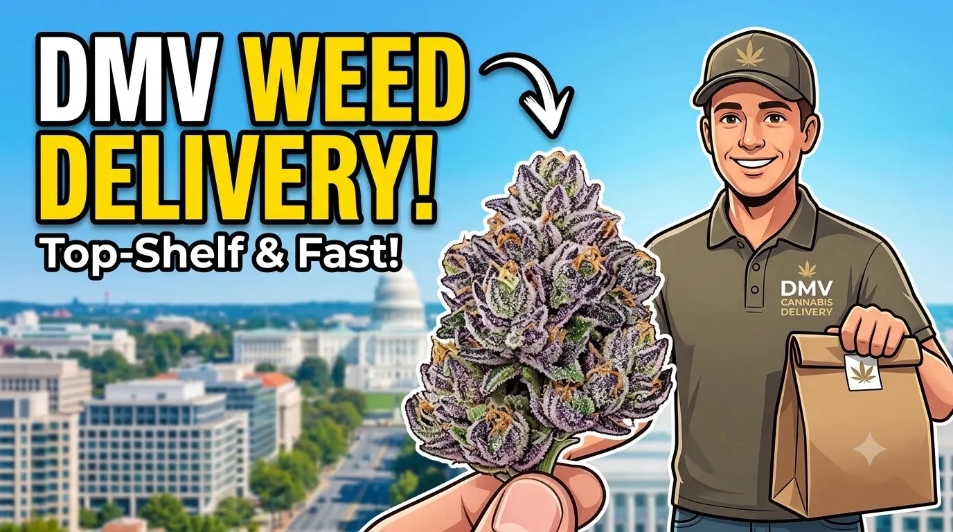 Dense trichome-rich top shelf indoor cannabis flower ready for DC flower delivery
