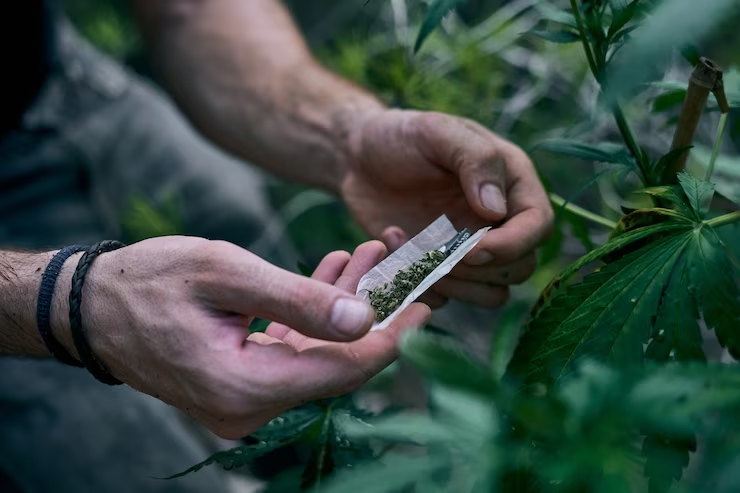 How Much Does Medical Marijuana Cost