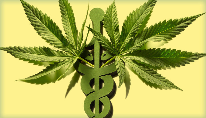 Medical marijuana products displayed in Virginia dispensary, illustrating current prices and patient access.