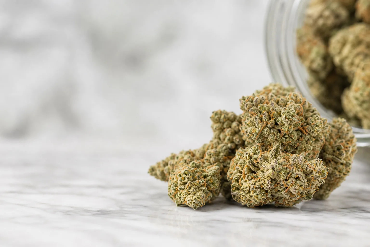 Cannabis Flower Guide — Gold Label Top-Shelf Indoor Flower