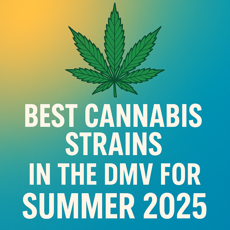 Best Cannabis Strains in the DMV for Summer 2025