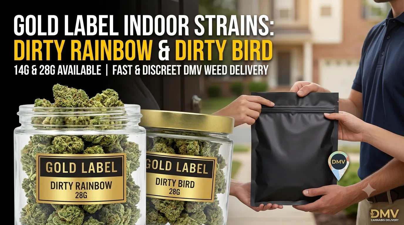 Gold Label indoor craft flower jars for fast DMV weed delivery