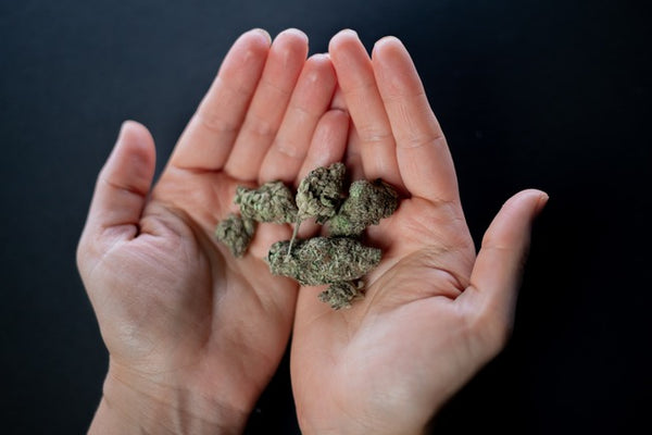Medical Marijuana Cost in Virginia