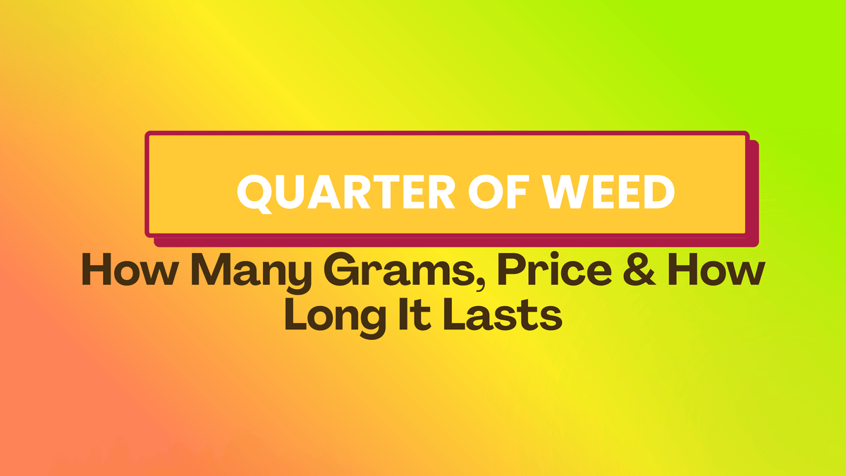 Quarter of Weed: How Many Grams, Price & How Long It Lasts