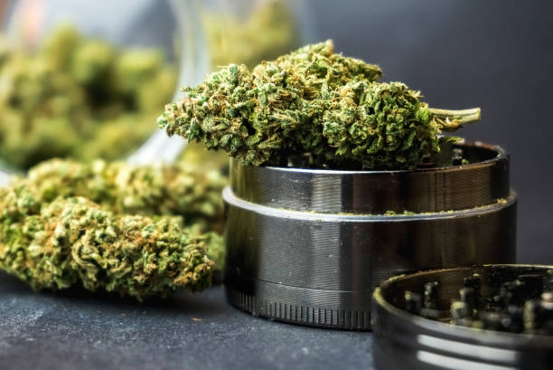 An image illustrating the legal framework of marijuana regulations in Colorado Springs, highlighting compliance and safety measures.