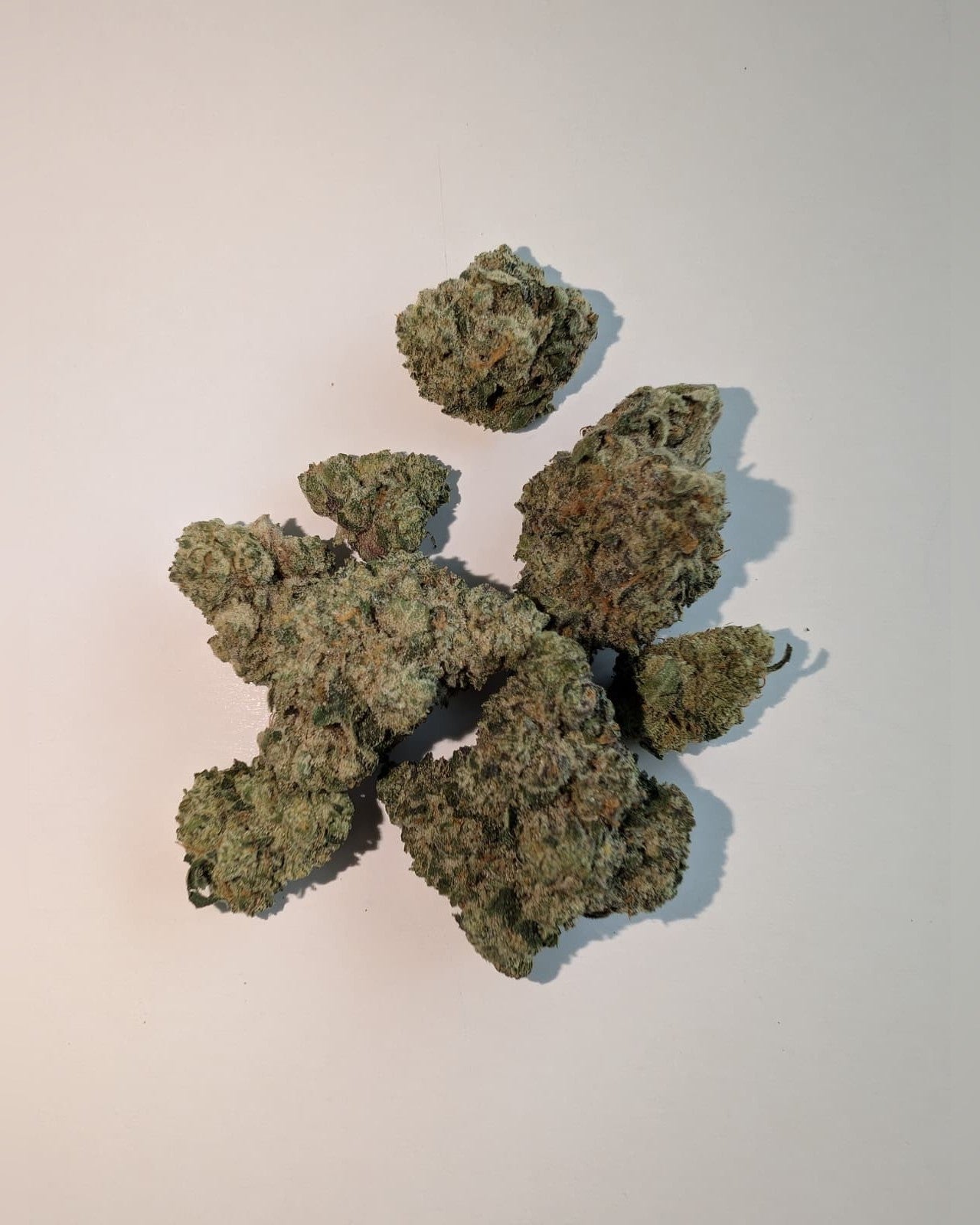 Gold Label Dirty Bird flower - weed delivery Sudley Manassas VA