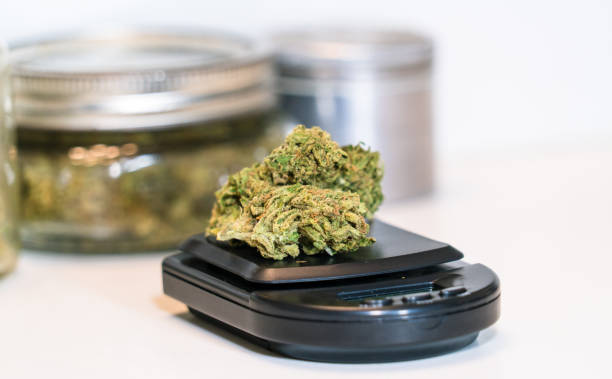 dmvcannabisdelivery
