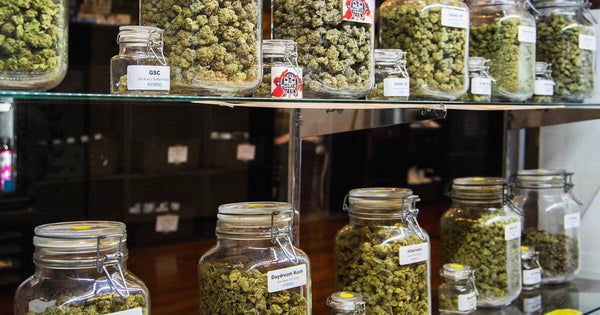 Denver dispensaries promoting social equity & justice in cannabis industry
