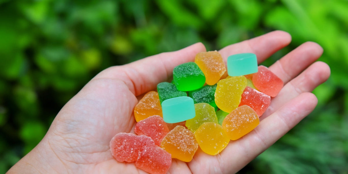 Navigating the Dosage of 500mg THC Gummies for Experienced Users