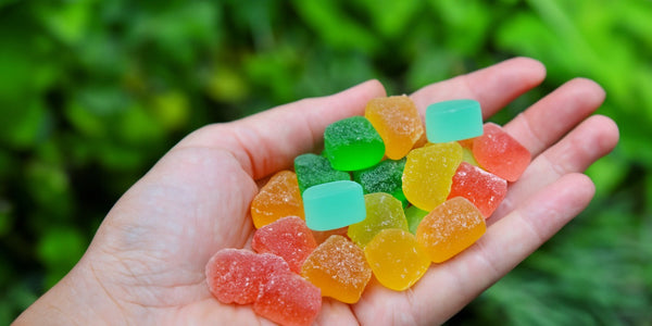 Navigating the Dosage of 500mg THC Gummies for Experienced Users
