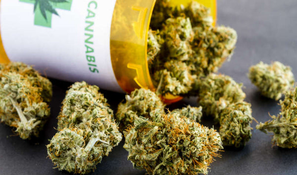 An illustration depicting a couple sitting together, symbolizing open and empathetic communication about cannabis use in a romantic relationship.