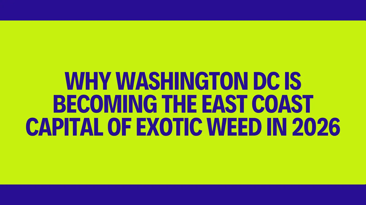 Why Washington DC is becoming the East Coast capital of exotic weed