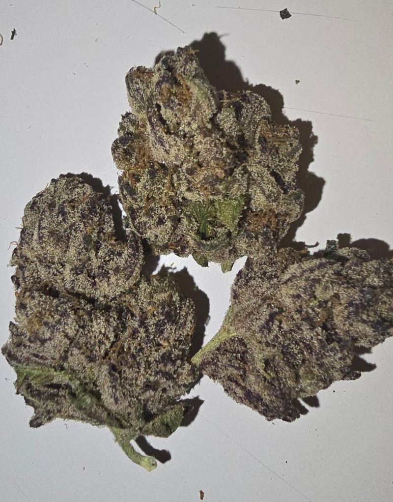 GOLD LABEL - 1/2 OUNCE FLOWER (14 GRAMS) GLACEE BLANCHEE