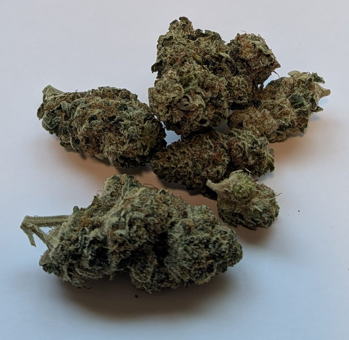 Gelato 33 Gold Label cannabis flower - 1 ounce (28g)