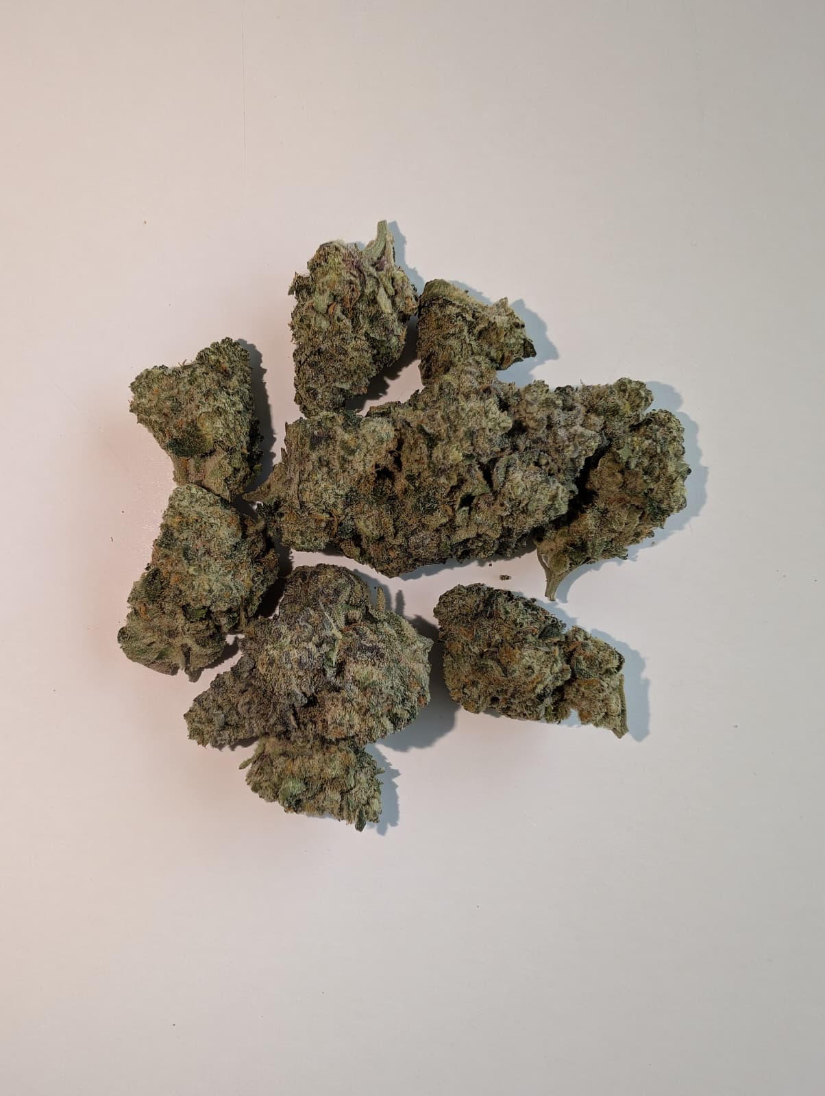 GOLD LABEL - 1/2 OUNCE FLOWER (14 GRAMS) GART BIRD | DMV WEED DELIVERY