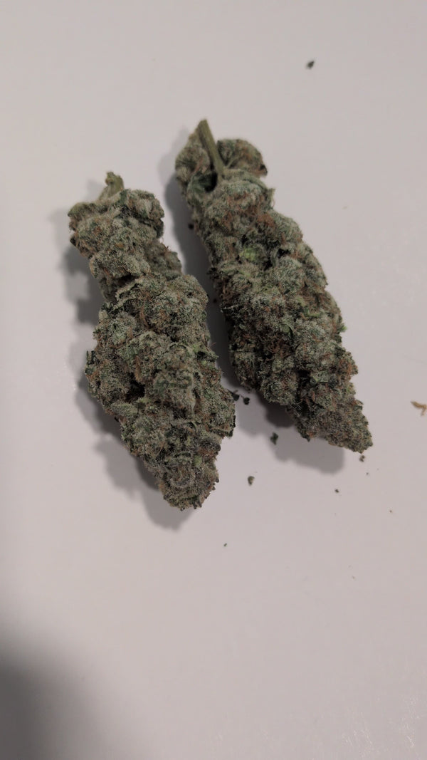 Smarties Gold Label cannabis flower - half ounce (14g)