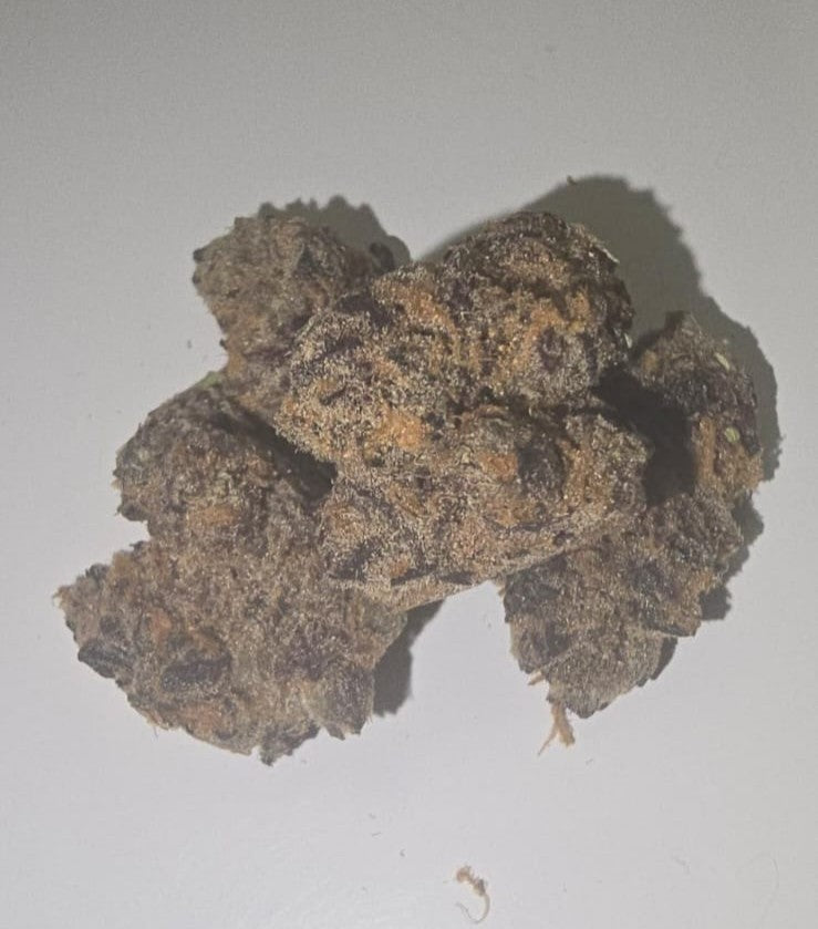 GOLD LABEL - 1/2 OUNCE FLOWER (14 GRAMS) GARLIC SUNDAE