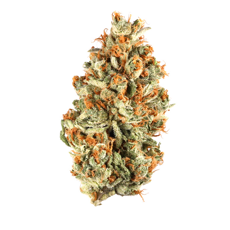 GOLD LABEL - 1 OUNCE FLOWER (28 GRAMS) 1RED BULLZ